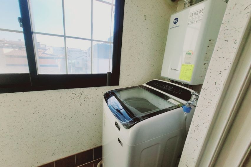 민들레 5번째 이미지