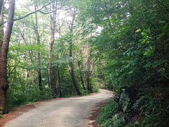 Gurye Hwangtobang Shelter/Sesimjeong 15th image
