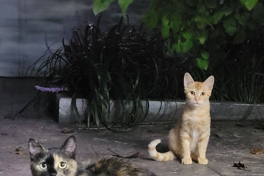 주안 205호 13번째 이미지