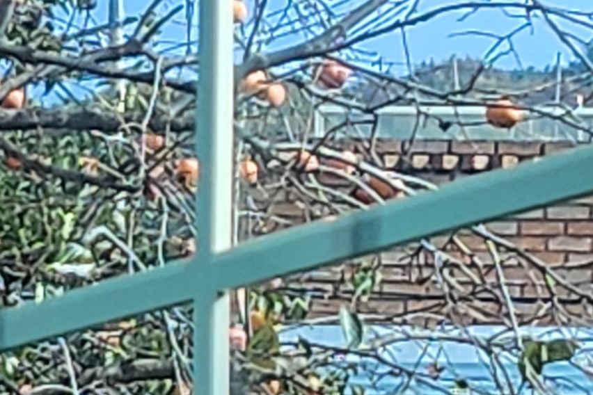 한옥웨이-시청/교대/ 12번째 이미지