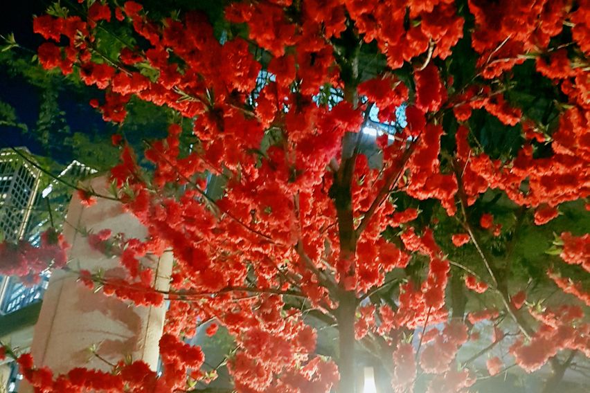 고시원 3번째 이미지