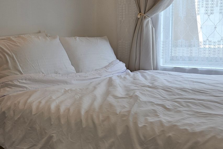 광화문/경복궁/BTS