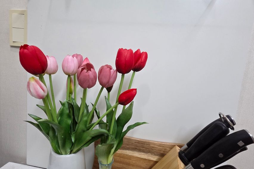 종로 올리브🌿 스테이