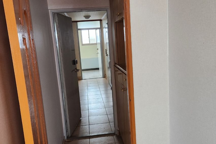 광주북구동강대서방시장4