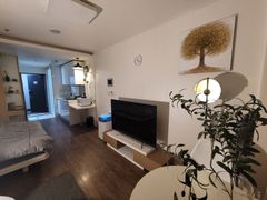 Seolleung Station, fully furnished. NH06 8th image