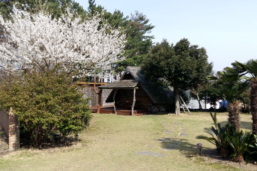 애월소길리나뭇잎사이로