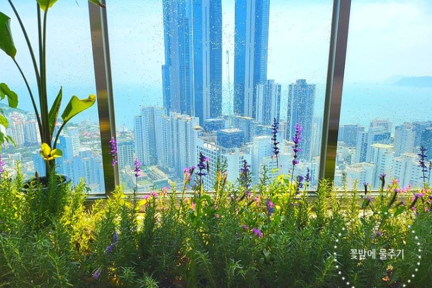 특가고층해운대감성테라스