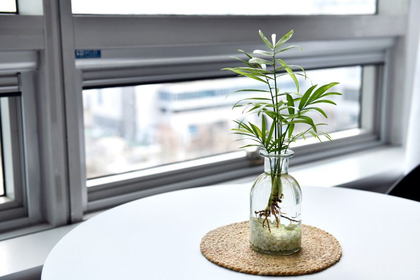 둔산의 중심 히스토리3