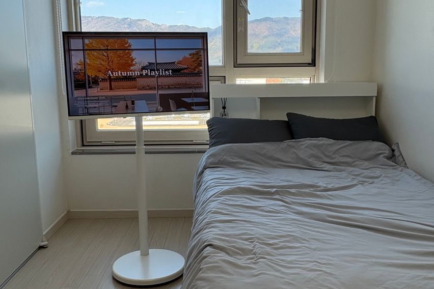 창원 도심1초 심플🍎