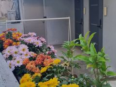 신림역4분서울대홍대강남 18번째 이미지