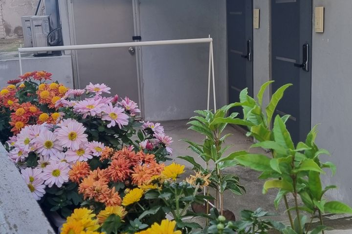 신림역4분서울대홍대강남 18번째 이미지