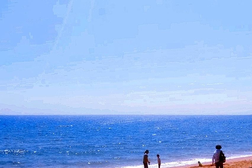 잔디마당 독채1.5형D