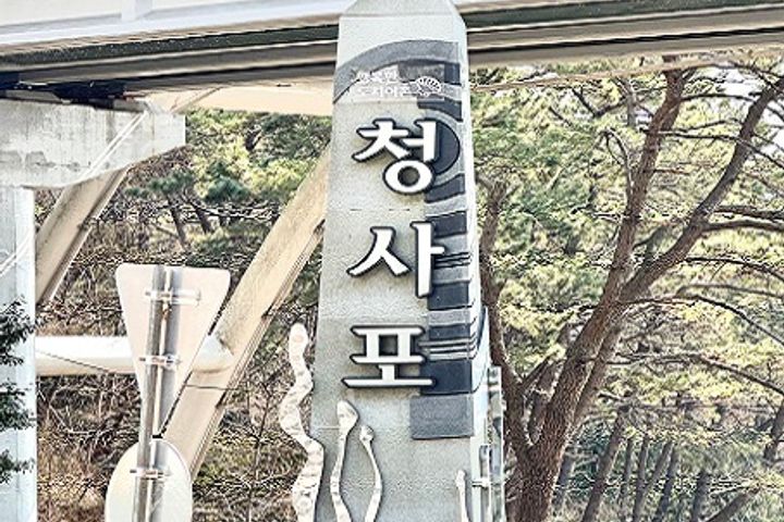 청사포 시골살기 오션뷰 13번째 이미지