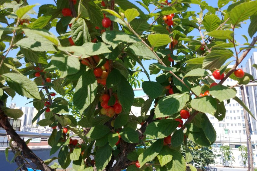 부천역5분,깔끔원룸#4 19번째 이미지