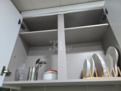 Baus 503 Sunny 11th image