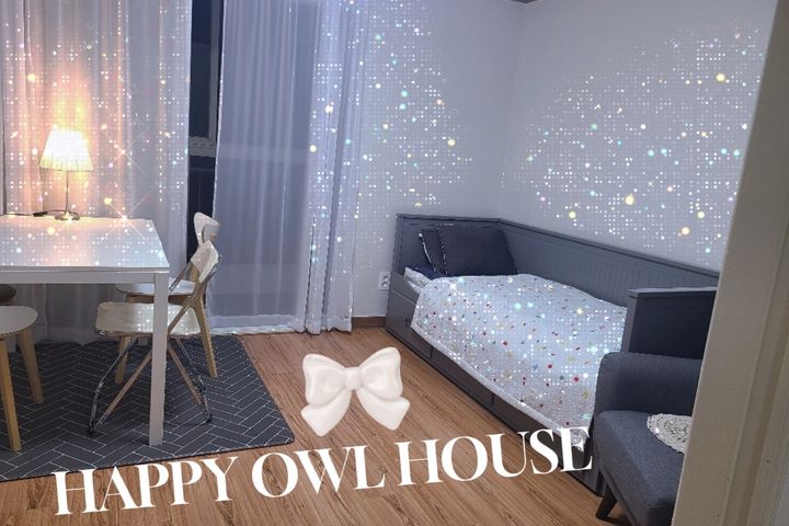 Happy Owl 0th image