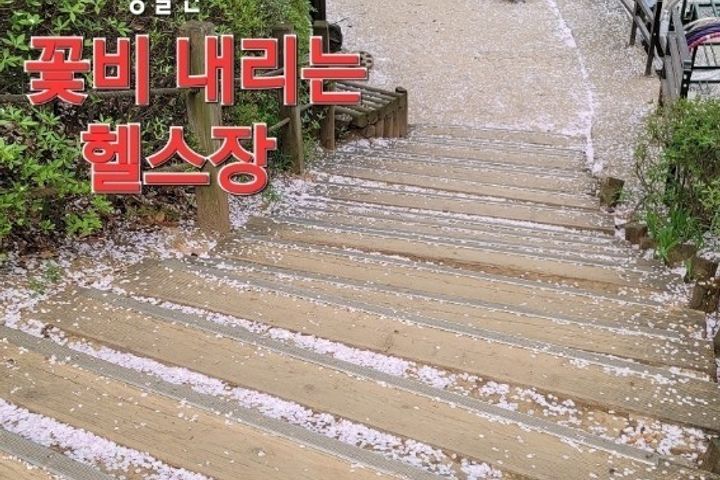 산속 자연과 새소리안전 14번째 이미지