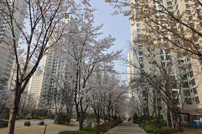 송파 핼리오 신축아파트 18번째 이미지