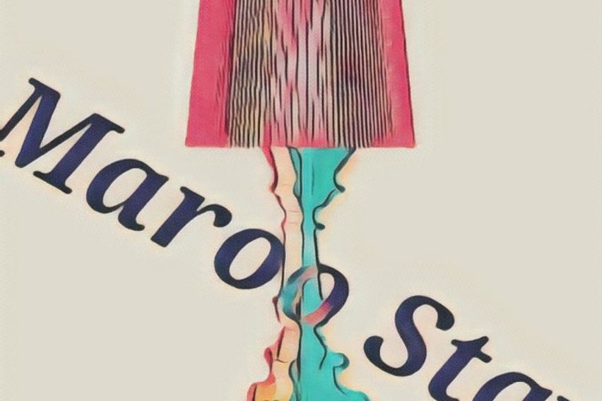 화성동탄병점진안동505