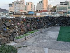 함덕 포구 돌담집 10번째 이미지