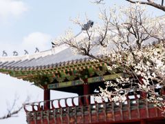 수원역도보3분🌿청결숙소 19번째 이미지