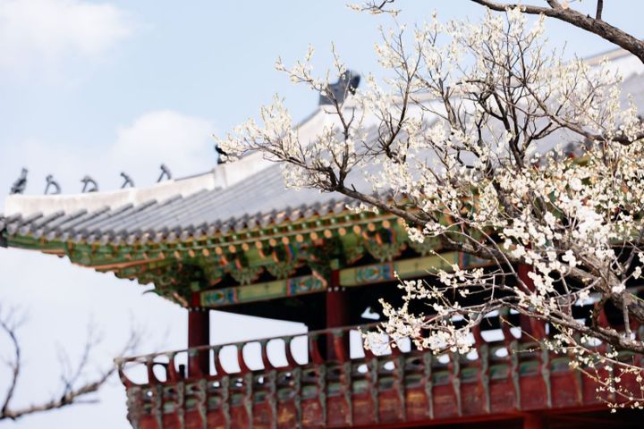 수원역도보3분🌿청결숙소 19번째 이미지