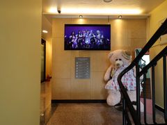 단독테라스&주차장 2인 8번째 이미지