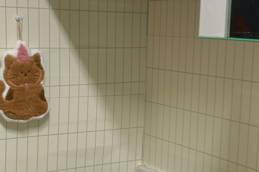 교원대 충청대 오송역