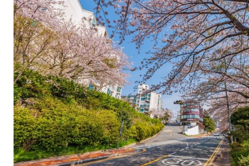부산 해운대 바다뷰 3번째 이미지