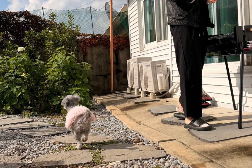 **반려동물O삼송역1분 11번째 이미지