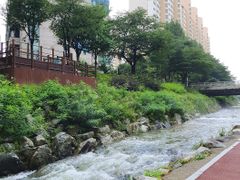 분당 판교 용인 쉐하 12번째 이미지