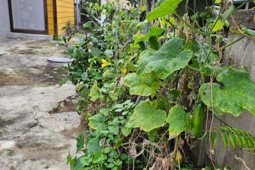 원주단구동마당있는103 8번째 이미지