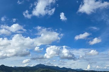 창덕궁뷰,을지로(핫플)