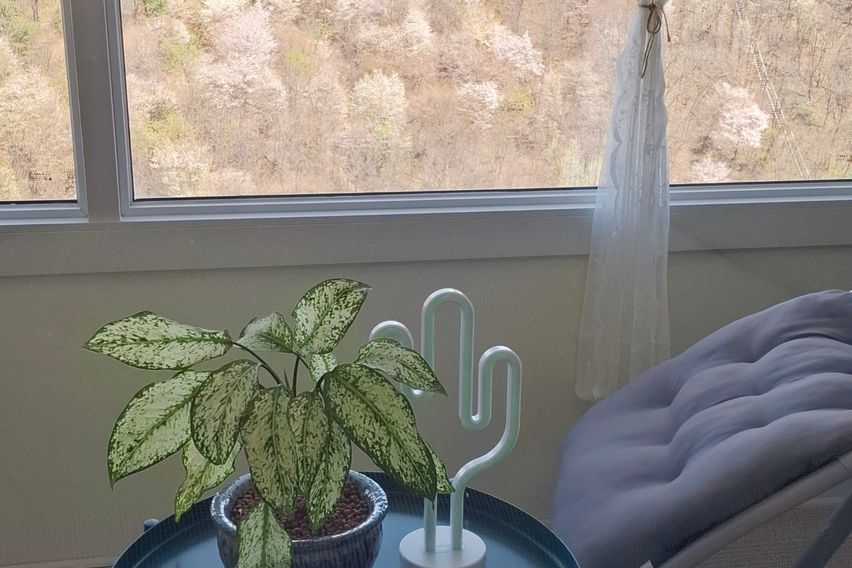 광명역중앙대병원🌈아늑 3번째 이미지