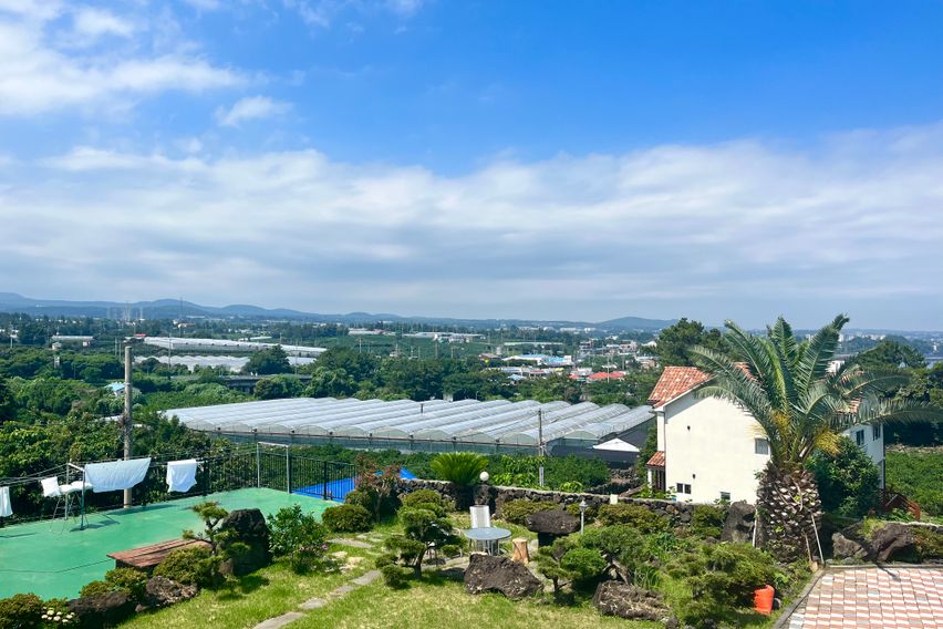 [서귀포] 거문 101 12번째 이미지