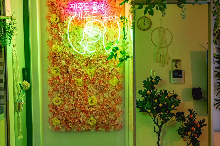 재주도 좋네(발리감성) 1번째 이미지