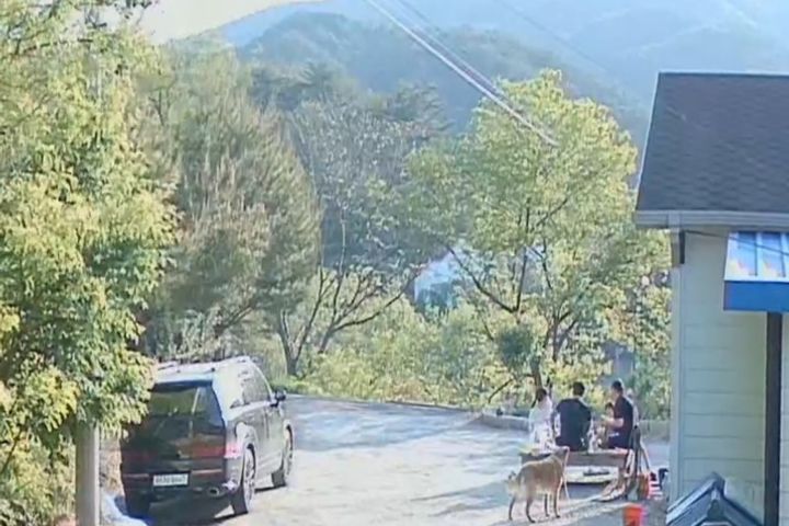 40평독채애견동반촌캉스 0번째 이미지