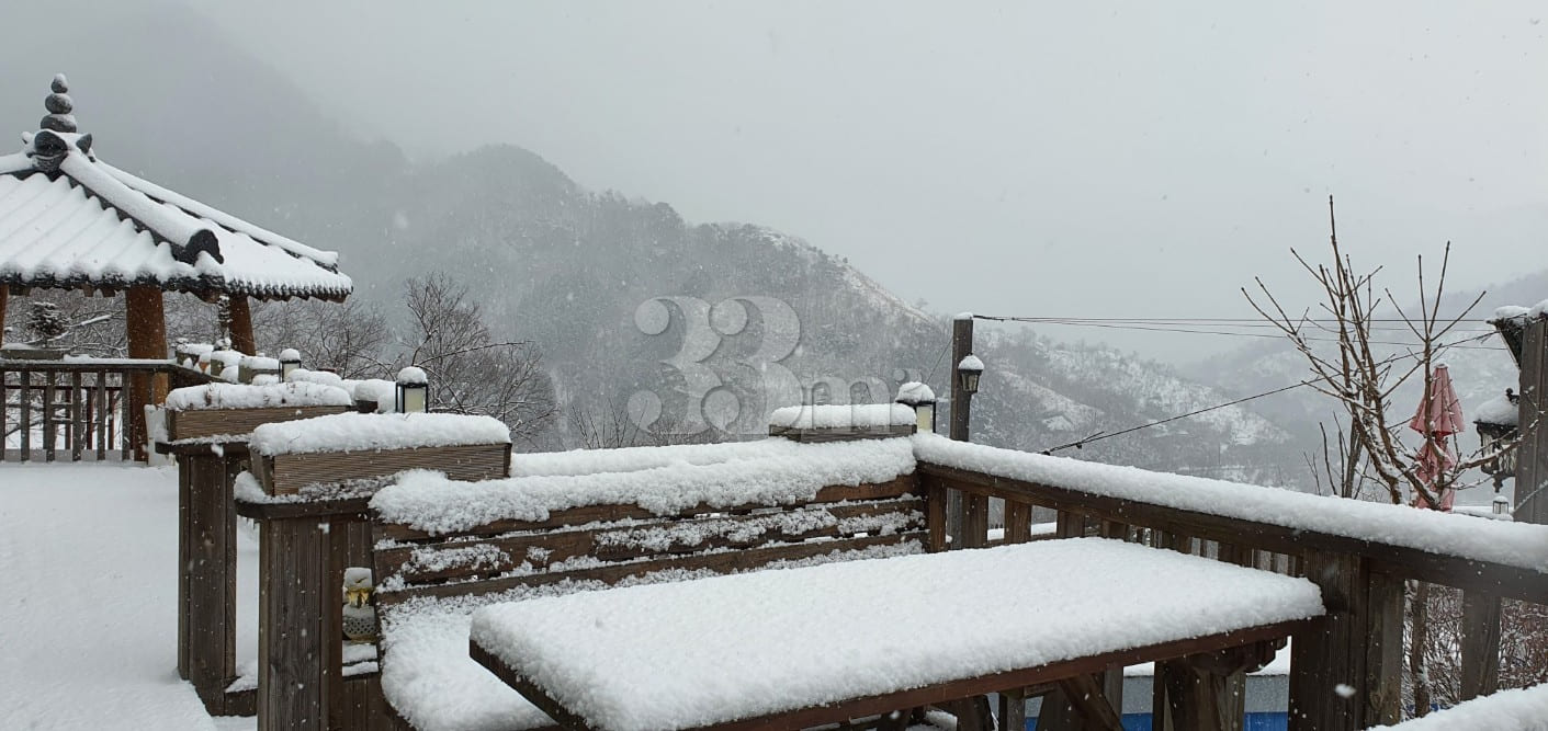 A detached house with a beautiful garden 8th image