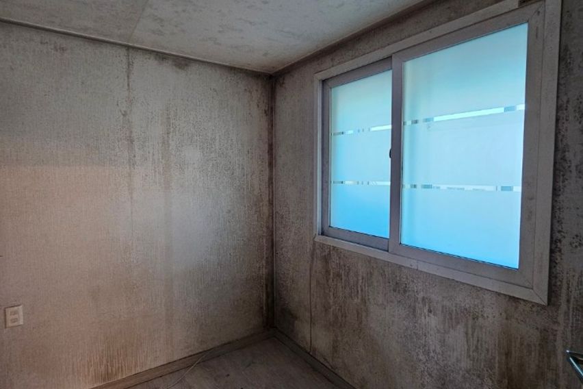 가성비 끝판왕 8번째 이미지