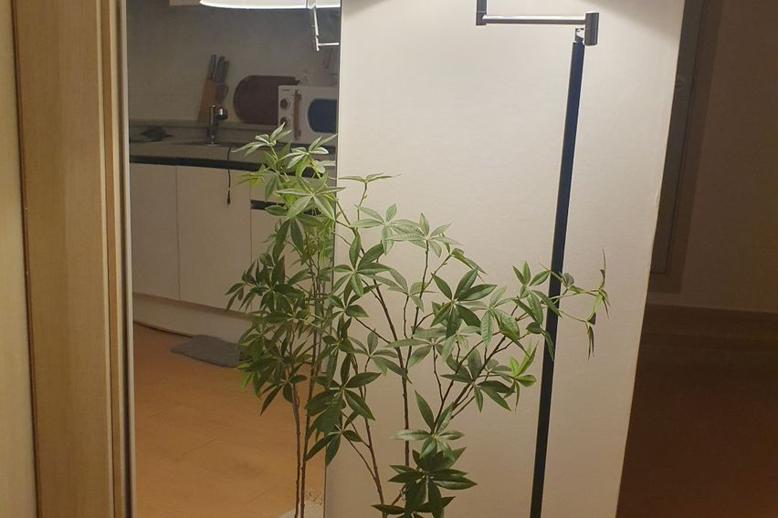 군자투룸 11번째 이미지