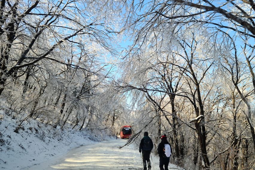 산속도시 도심아파트^