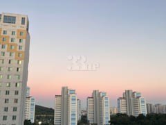 Yeongjongdo Terrace, Pets Allowed 19th image