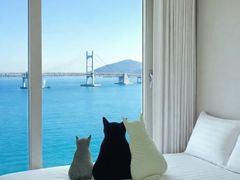 풀 오션& 마린시티 뷰 6번째 이미지