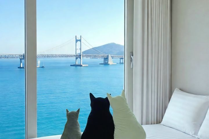 풀 오션& 마린시티 뷰 6번째 이미지