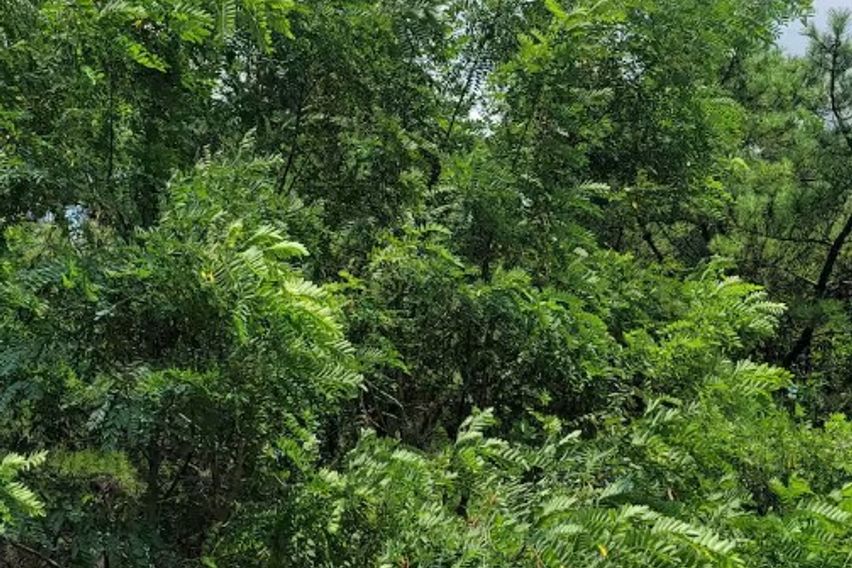 일산동구/신축/쓰리룸 7번째 이미지