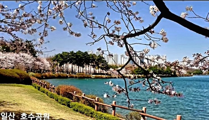 고급발라303의 방2호 5번째 이미지