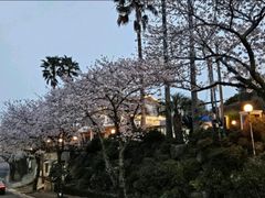 [중문]산책&조용한숙소 9번째 이미지