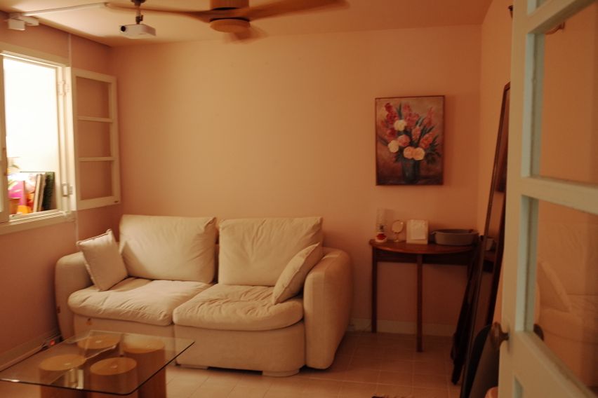 귀여운 투룸🫧반려동물 0번째 이미지