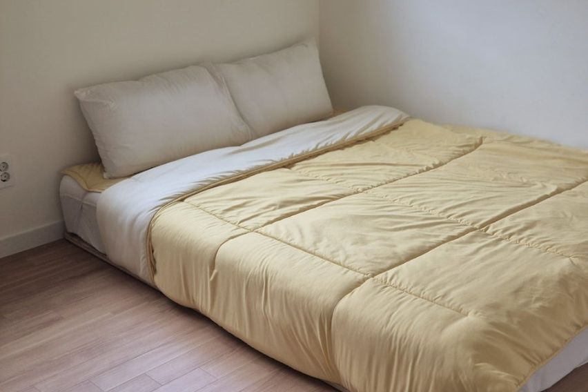 키즈사랑 숲속힐링독채