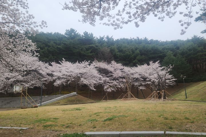 환호공원 최고 단독주택 1번째 이미지